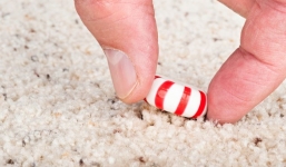 Quy tắc 5 giây nhặt đồ ăn bị rơi có thần thánh như lời đồn?