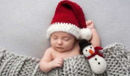 Tại sao Giáng sinh là mùa sinh sản của con người?