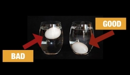 Mẹo nhận biết trứng tươi không cần đập vỏ