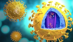 Phát hiện chủng HIV mới, cùng loại với chủng gây đại dịch toàn cầu