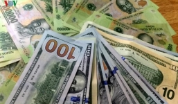 Tỷ giá ngoại tệ ngày 13/11/2019: USD tăng cao, bảng Anh tăng nhẹ