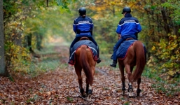 Thai phụ bị chó cắn chết khi dắt chó đi dạo