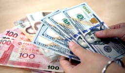 Tỷ giá ngoại tệ ngày 21/11/2019: USD tăng trở lại