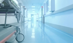 Người đàn ông tử vong chỉ vì vết liếm của chó cưng