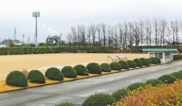 Công viên Nhật Bản cấm người Việt vì xả rác