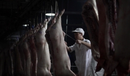 Tin tức thế giới 24h nóng nhất, mới nhất hôm nay ngày 23/12/2019