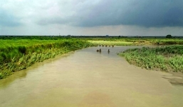 Phát hiện thi thể cô dâu Việt và chồng Đài Loan ở 2 địa điểm khác nhau