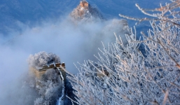 Suýt mất mạng vì trộm gạch Vạn Lý Trường Thành để đổi phong thủy