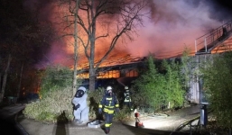 Đèn lồng Trung Quốc gây đại họa tại sở thú Đức đêm Giao thừa