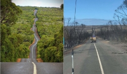 Cháy rừng tại Australia biến đảo Kangaroo thành vùng đất chết