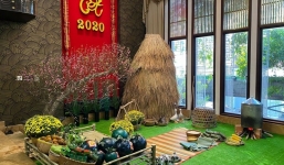 Đàm Vĩnh Hưng mang rơm vào biệt thự, thành quả vô cùng đáng nể