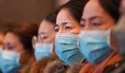 Tổng đài 19009095 miễn phí của Bộ Y tế phòng chống virus corona