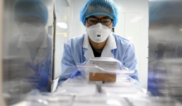 Virus corona đột biến khi lây từ người sang người