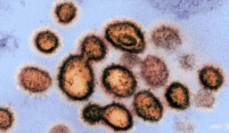 2 nơi trong nhà virus corona bám lại nhiều nhất