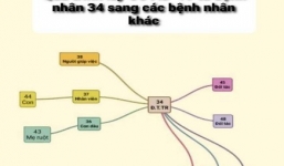 Cần xử lý hình sự đối tượng cố tình khai báo y tế gian dối làm lây lan dịch bệnh