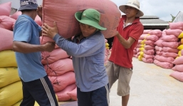 Việt Nam tạm dừng xuất khẩu gạo