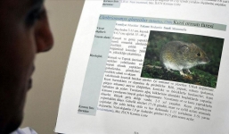 Người đàn ông Trung Quốc tử vong vì virus hanta