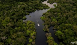 Ca Covid-19 đầu tiên trong rừng Amazon, hơn 300 bộ lạc bị đe dọa