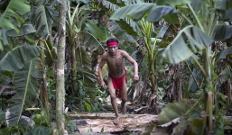 Thổ dân sống biệt lập trong rừng Amazon nhiễm Covid-19