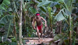 Thổ dân nhiễm Covid-19 trong rừng Amazon đã tử vong
