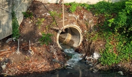 Cách phát hiện sớm Covid-19 trước khi có biểu hiện bệnh một tuần