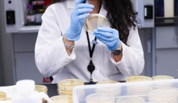 Các tổ chức nghiên cứu Covid-19 của Mỹ bị tin tặc nước ngoài tấn công