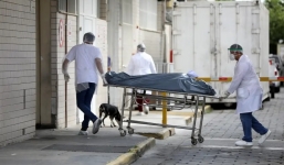 Hơn 184.000 ca Covid-19 tử vong, WHO cảnh báo dịch sẽ còn lâu dài