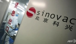 Vắc xin Covid-19 của Trung Quốc thử nghiệm thành công trên khỉ