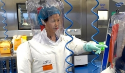 Cảnh báo sắc lạnh của 'Người dơi' Trung Quốc về Covid-19