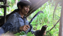 'Người rừng' Hồ Văn Lang ngày ấy, bây giờ