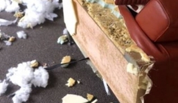 Tá hỏa phát hiện sofa gần trăm triệu bị chó cưng xé nát