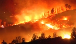 Cứ 6s lại có khoảng rừng bằng sân bóng biến mất