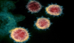 Phát hiện mới về Covid-19 khiến hy vọng miễn dịch càng xa vời