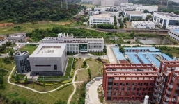 WHO cử người tới Trung Quốc điều tra nguồn gốc Covid-19