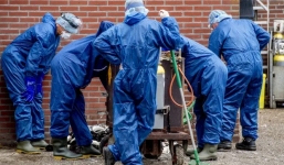 Diệt ổ dịch Covid-19 với gần 100.000 con chồn nhiễm bệnh