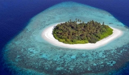 Robinson ngoài đời thực: Sống 4 năm trên hoang đảo, làm bạn với chuột, dê, mèo