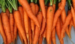 Ăn nhiều cà rốt sẽ khiến cơ thể biến đổi gây giật mình