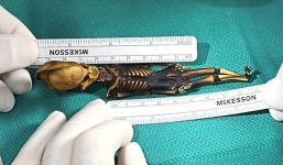 Bộ xương mini nghi của người ngoài hành tinh cuối cùng cũng được giải mã