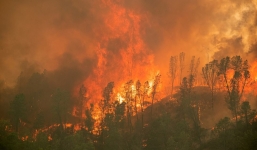 Cảnh tượng hỏa ngục khiến hàng trăm nghìn người California phải rời bỏ nhà cửa