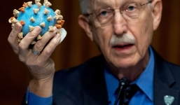 Phát hiện thuốc diệt côn trùng có thành phần kháng Covid-19