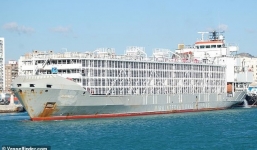 Tàu chở 43 người biến mất ngoài khơi Nhật Bản