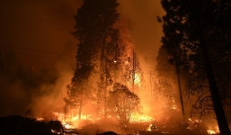 Mở tiệc công bố giới tính thai nhi, gia đình thiêu rụi gần 3.000 ha rừng