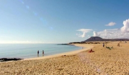 Bắt được thanh gỗ trôi dạt bám đầy sinh vật lạ, không ngờ vớ bẫm báu vật tiền tỷ