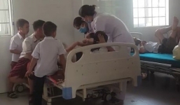 Cấp cứu hàng chục học sinh tiểu học bị ong đốt