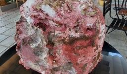 Lặn ngắm san hô, nhặt được 2 tảng đá tỏa hương thơm nghi trị giá hàng tỷ đồng