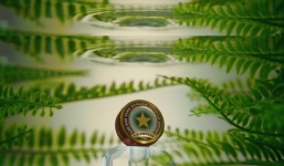 Quảng cáo cao Sao Vàng như 'bom tấn' Hollywood đến từ nước Nga