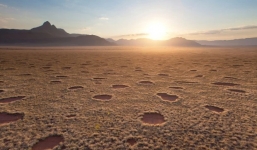 Giải mã 'vòng tròn thần tiên' bí ẩn trên sa mạc cỏ