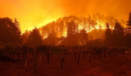 Cận cảnh vụ cháy rừng thiêu rụi thung lũng rượu vang trứ danh của Mỹ