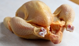 Ăn phao câu gà có nguy hiểm như lời đồn?