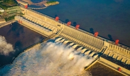 Tin tức thế giới 24h ngày 2/11: Tổng giám đốc WHO tự cách ly, Người ủng hộ Trump 'phục kích' xe chiến dịch Biden